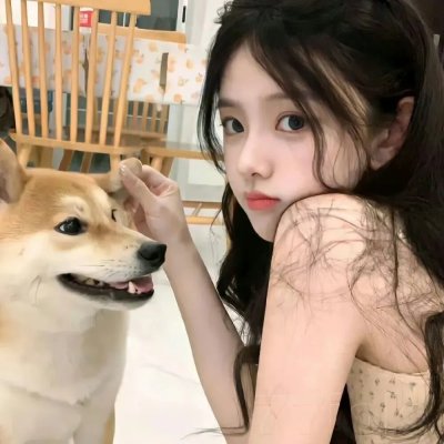 隐形红翼