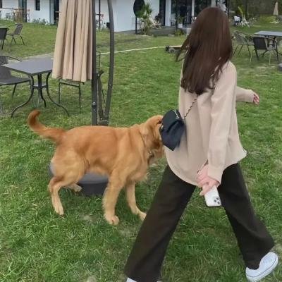 死心不息
